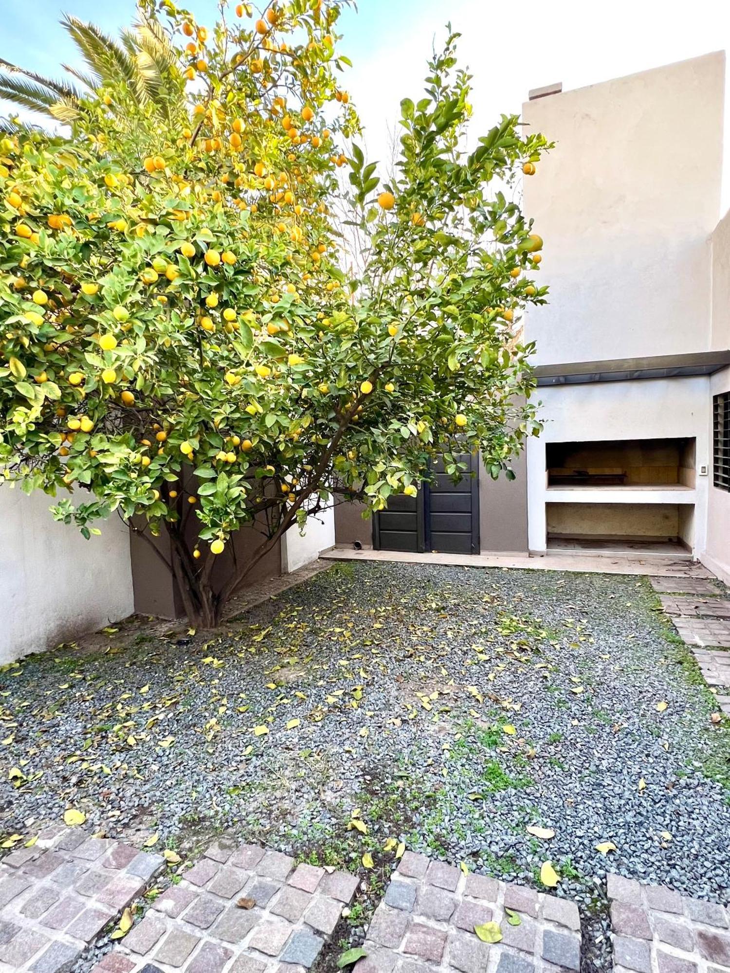Sonado Departamento En B Jardin Apartment *